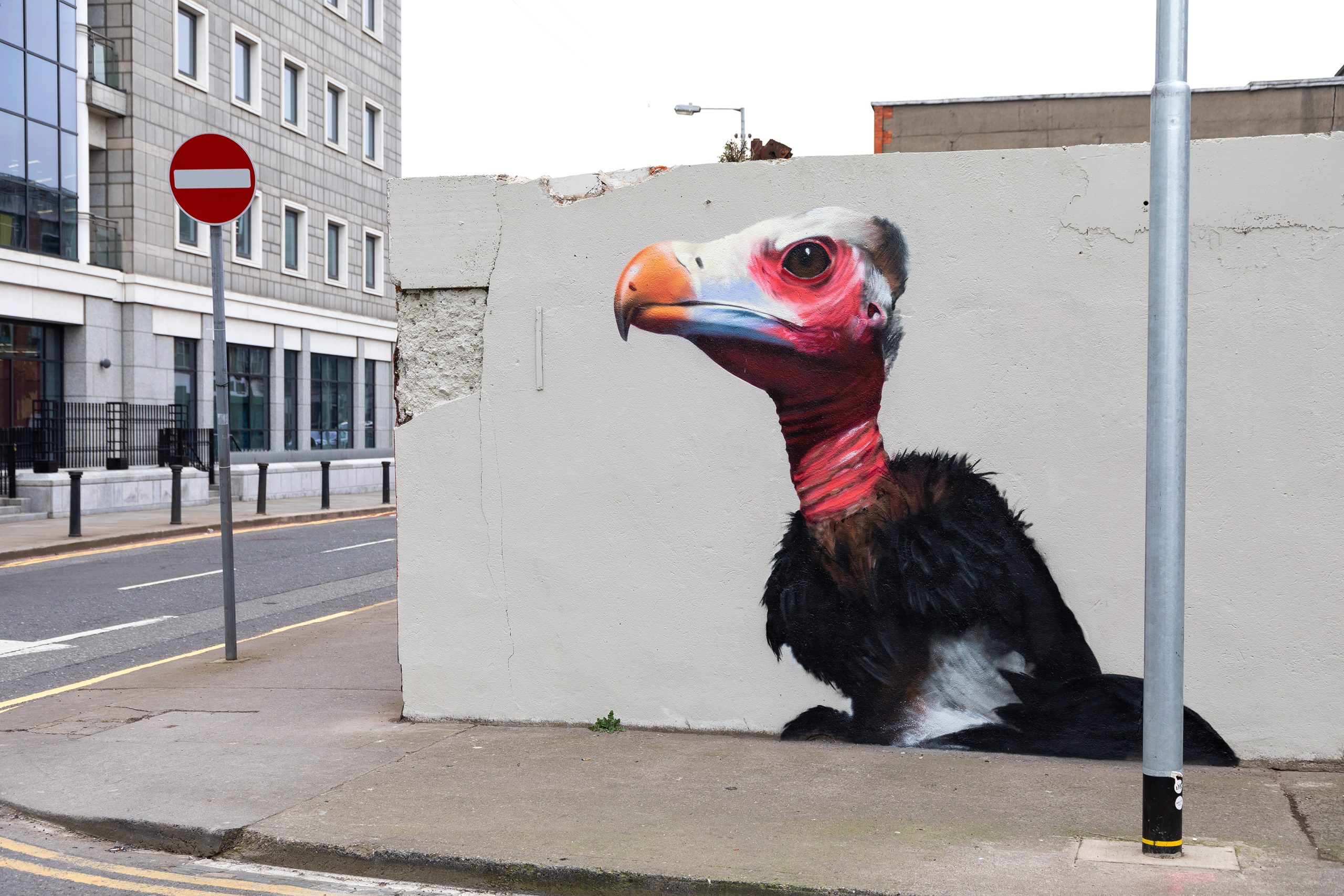 Vulture