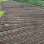 Drone still from a bog where the EPA recently carried out an inspection