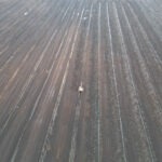 Drone still from EPA site inspection of bog where commercial peat extraction is taking place